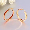 CiNily Stainless Steel Cubic Zirconia Hoop Earrings for Women, Silver/Gold