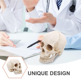 Healvian 1：1 Human Skull Model Realistic Skeleton Bones 7.47 Inch Detachable Medical Skull Model for Scientific Education Anatomical Teaching Tool