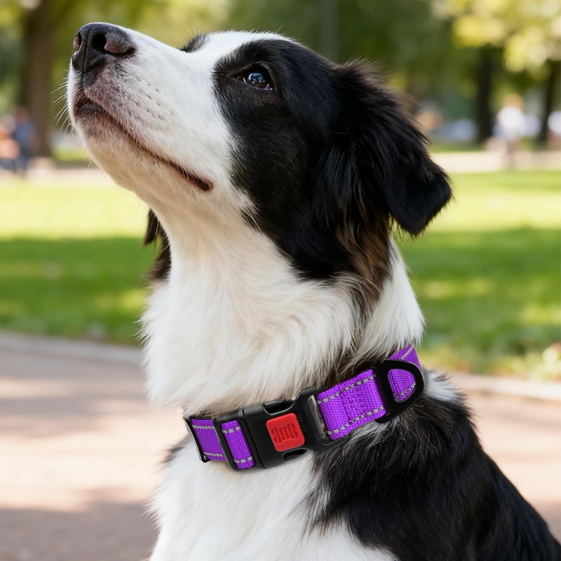 Taglory Reflective Dog Collar with Safety Locking Buckle, Adjustable Nylon
