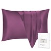BIGHAS 100% Mulberry Silk Pillowcase for Hair and Skin with