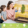 Weewooday 4 Pieces Automatic Bird Feeder Cage Water Dispenser Bird