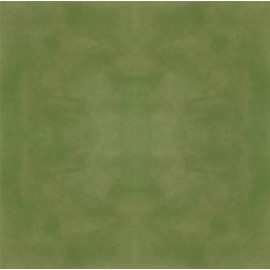 Concrete Resurrection Professional Easy to Apply Concrete Acid Stain -Olive Mist 16oz