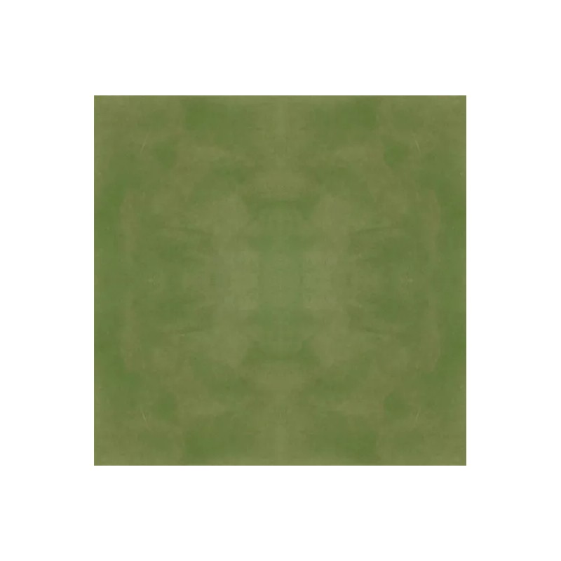 Concrete Resurrection Professional Easy to Apply Concrete Acid Stain -Olive