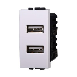 IXTRIMA Duales USB-Ladegerät-Modul 5 V 2,1 A - 2 USB-A-Ports Farbe weiß kompatibel mit Bticino Living Light/International 1 Stück