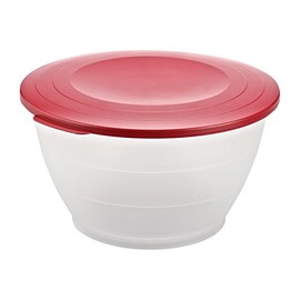 SCHUESSEL 4.3L 2416221R