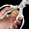 1 x kitchen scissors, household scissors, kitchen scissors, kitchen scissors,