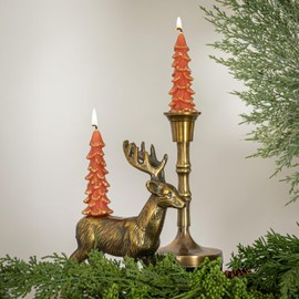 Creative Co-Op Unscented Textured Tree Shaped Taper Candles with Gold Tips in Box, Coral Color, Set of 2