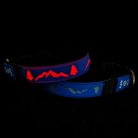 DOGLED LED Dog Collar, 15 Light Modes, USB-C Rechargeable, Silicone Material, Adjustable Size, (Blue, XL(19.7-23.6"))