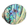 KYEYGWO Pack of 4 Abalone Shell Furniture Knobs, White Shell