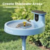 Birdfy Bath Plastic Standing Board for Hummingbird & Small Bird,
