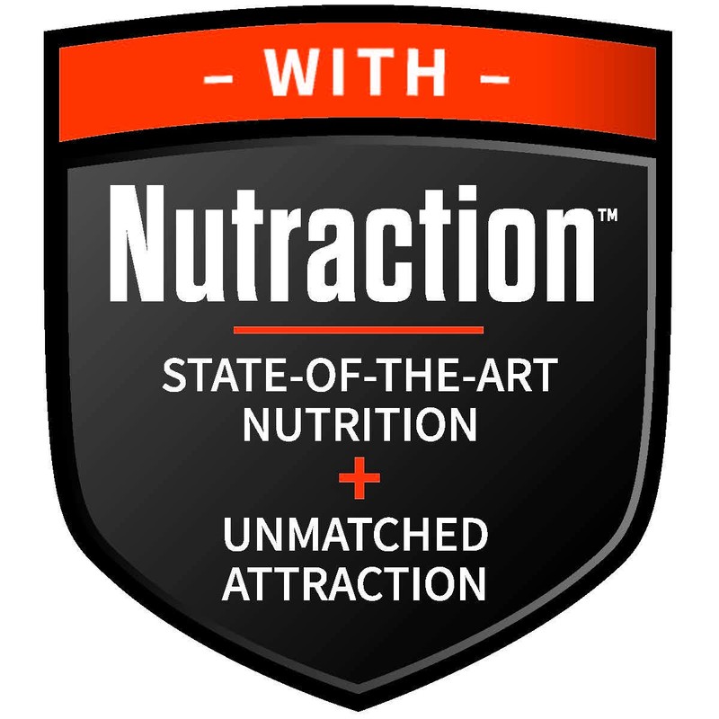 Antler King Final Feast