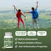Dr. Klein's Moringa Leaf Extract Capsules – 10:1 Extract Equivalent