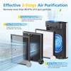 4 Pack HAP602 Replacement Filter Compatible with ECOSELF HAP602 /