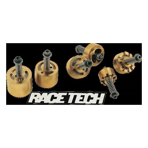 Race Tech Gold Valve Cartridge Fork Emulator for Kawasaki KLR650