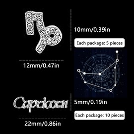 MOLILON 15pcs 3d Silver Capricorn Nail Charms 5pcs Zodiac Signs and 10pcs Zodiac Letter Nail Studs Rhinestones Crystal Alloy Twelve Constellation Charms for DIY Crafts Jewelry Decoration Nail Supplies