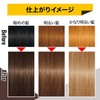 GATSBY Natural Bleach Color (Quasi-drug) High Tone Champagne Ash 1