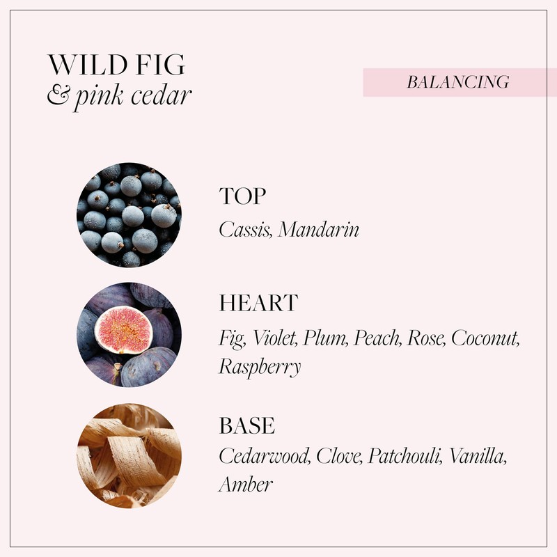 Grace Cole Wild Fig & Pink Cedar Body Care Duo