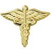 PinMart Classic Gold Plated Medical Caduceus Lapel Pin - 10