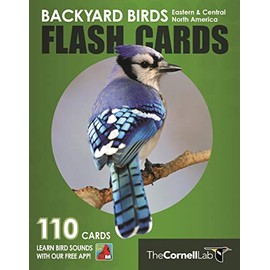 Backyard Birds Flash Cards - Eastern & Central North America (Cornell Lab of Ornithology)