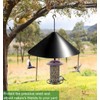Fandature 19 Inch PP Squirrel Proof Baffle for Protecting Outside
