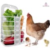 Importeek Cesta Canasta Organizador Multiusos Almacenamiento Cocina