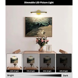 JUSHENG Picture Lights for Wall Gold Hard-Wired Connection Gallery Light Dimmable Modern LED Picture Light Artwork Light 16.33'' Inch 7W Warm White