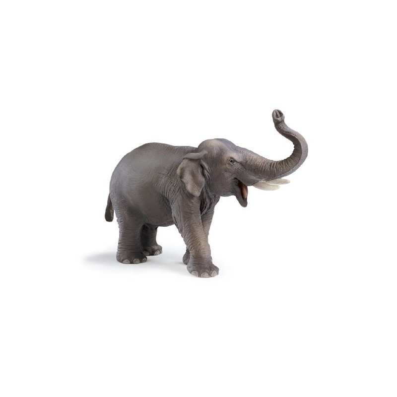 Schleich - Indian Elephant