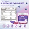 Elysx Liposomal L Theanine Gummies, Chewable L-Theanine 400mg with GABA