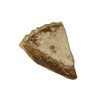 Bird-in-Hand Wet-Bottom 10" Shoofly Pie