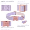 ARING PET Dog Collar, Cotton Lavender Bowtie Dog Collars, Adjustable