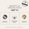 BeeNZ BeeNZ Raw Manuka Honey, Certified UMF 5+ (MGO 83+),