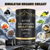 Shilajit Gummies: Pure Shilajit Himalayan Rich in Ashwagandha Gaulshura Fulvic