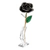 Long Stem Dipped 24k Gold Trim Red Rose In Gold