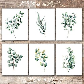 Eucalyptus Leaves | Botanical Prints Wall Art (Set of 6) - Unframed - 8x10s