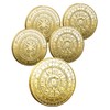 S.fields.inc Tarot Coins Divination Coins Set of 5 12 Constellations