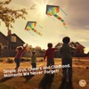 aGreatLife Kite for Kids & Kites for Adults, Cometa, Easy