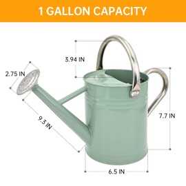 Lechloris Metal Watering Can for Outdoor Plants, Galvanized Steel Watering Can with Removable spout, 1 Gallon,Perfect Home & Garden Décor White