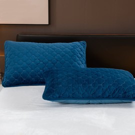 Flannel Pillowcases Queen Size, 2 Pack Soft Velevt Pillow Shams Covers with Envelope Closure, Luxury Cozy Decorative Pillow Cases, No Filling (Queen (20 x 30 Inch), Blue)