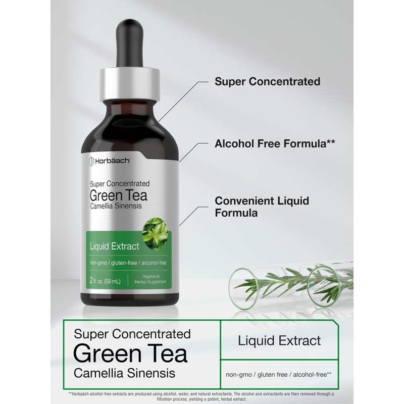 Horbäach Green Tea Extract Liquid Drops | 2 Fl Oz