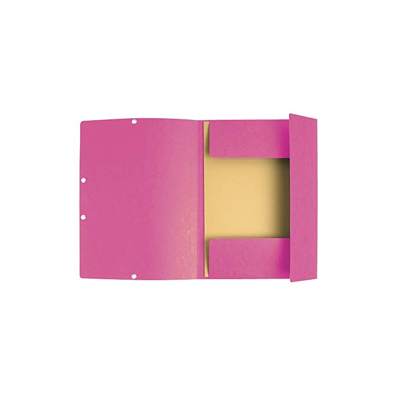 Exacompta 55520E Folder (Manila Cardboard, with elastic strap and 3