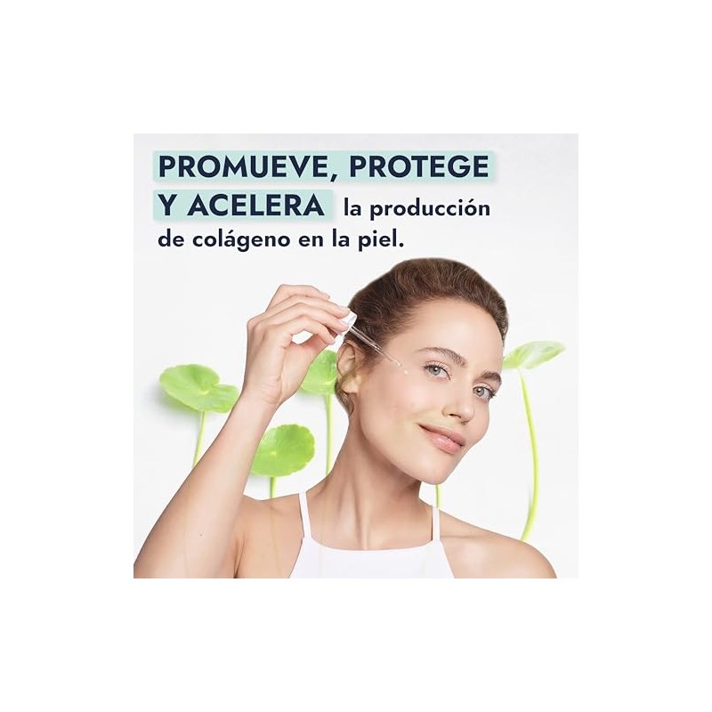 Hebbe Extracto De Centella Asiática 100 g | Reafirmante Hidratante