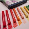 Artme Oil Pastel Paint Sticks 24 Assorted Vibrant Colours. Intense
