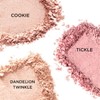 Benefit Bronzer Highlighter (Choose 1 of 7 types) (+ Liquid