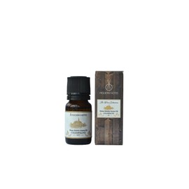 MODERN NOTES 2017 CHAMPAGNE Wine Collection Water Soluble Aroma Oil (10 mL)