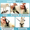 Gooby Escape Free Easy Fit X in Dog Harness -