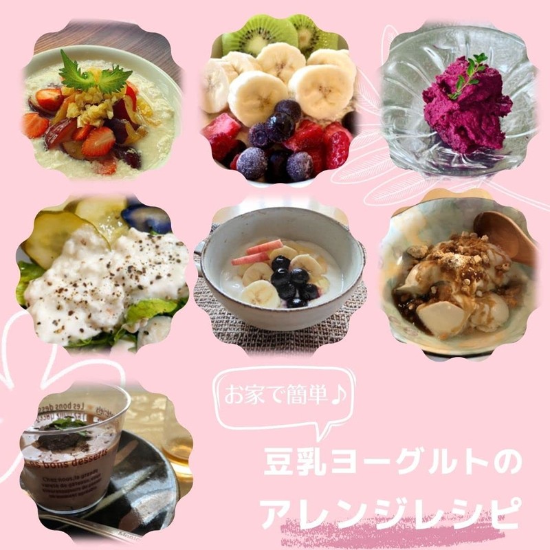 Soipedio Soy Milk Yogurt Species Bacteria
