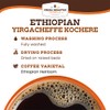 Fresh Roasted Coffee, Ethiopian Yirgacheffe Kochere, 2 lb (32 oz),