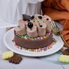 Rainbow Sprinkles Edible Dot Sprinkles, 11.3oz/320g Ice Cream Sprinkles with