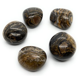 Stromatolite Medium Crystal Tumbled Stone - 1 Pc