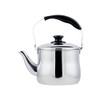Pearl Metal Kettle, Kettle, Teapot, 3.1 qt (3.0 L), Wide